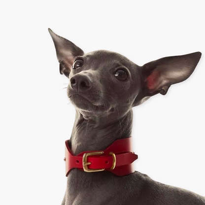 Collier lévrier pour chien en cuir tanné - Rouge - Indomito