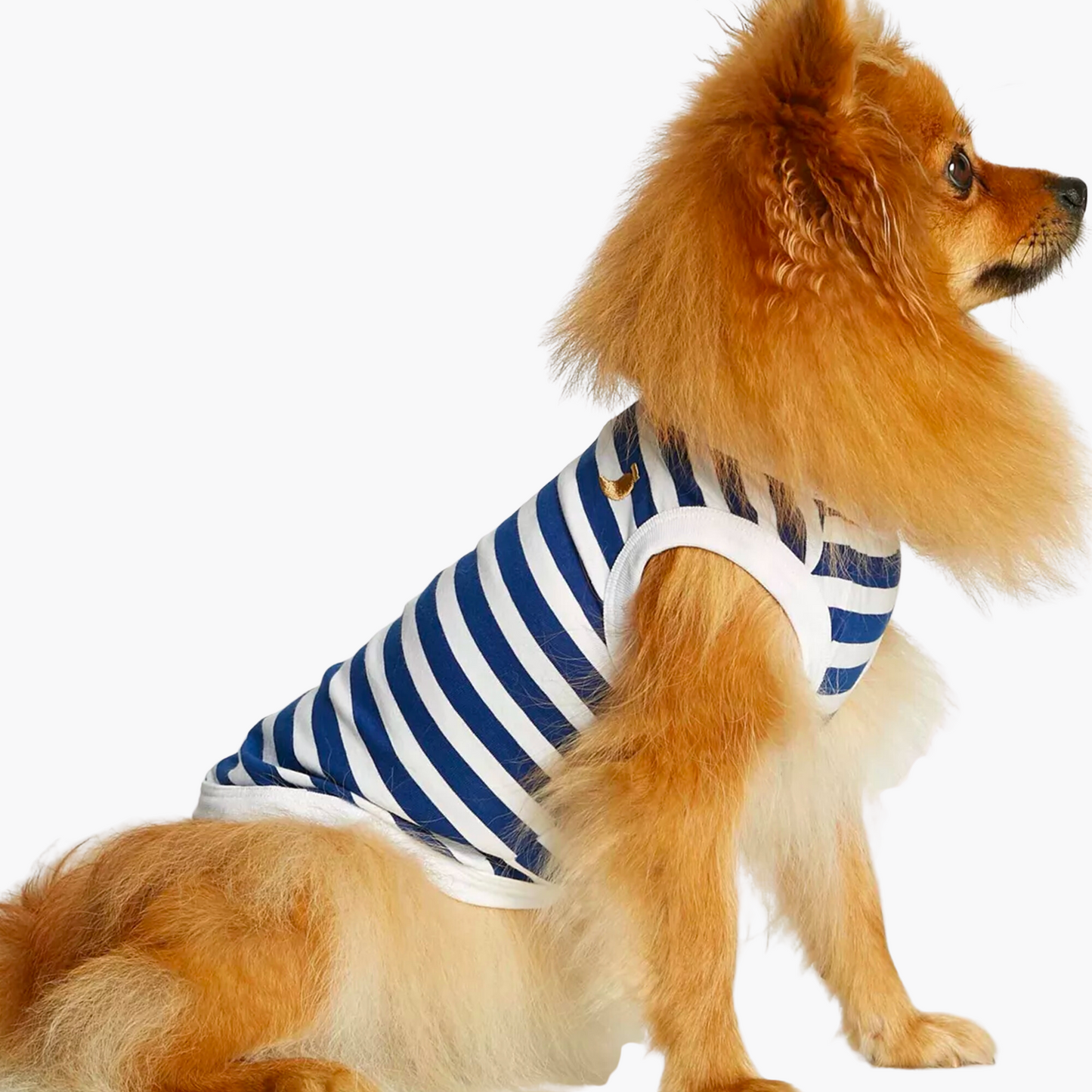 Gilet body pour chien en coton bio à rayures bleues - Painter's wife