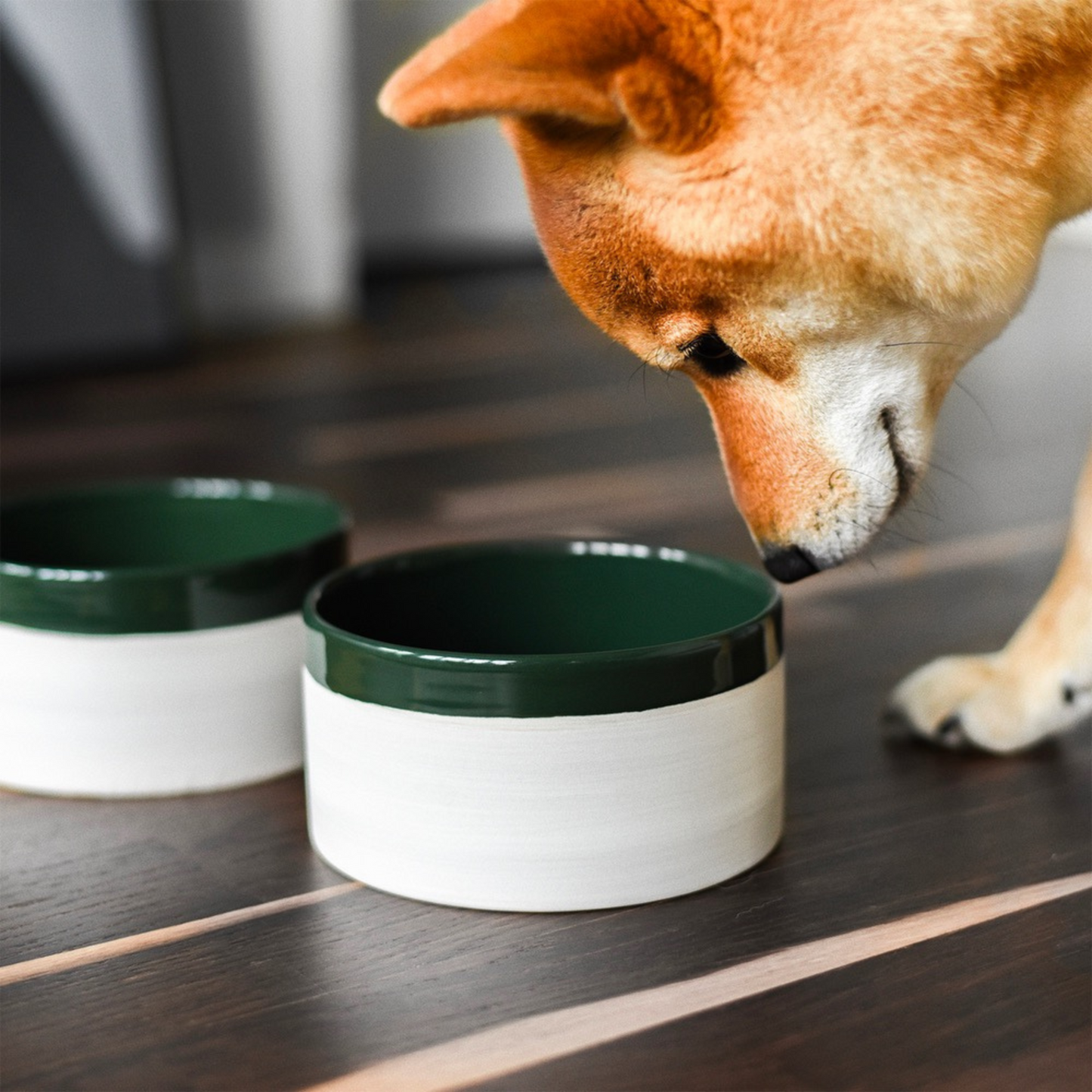 Gamelle en céramique pour chien fait main -  Vert forêt - Denjo Dogs