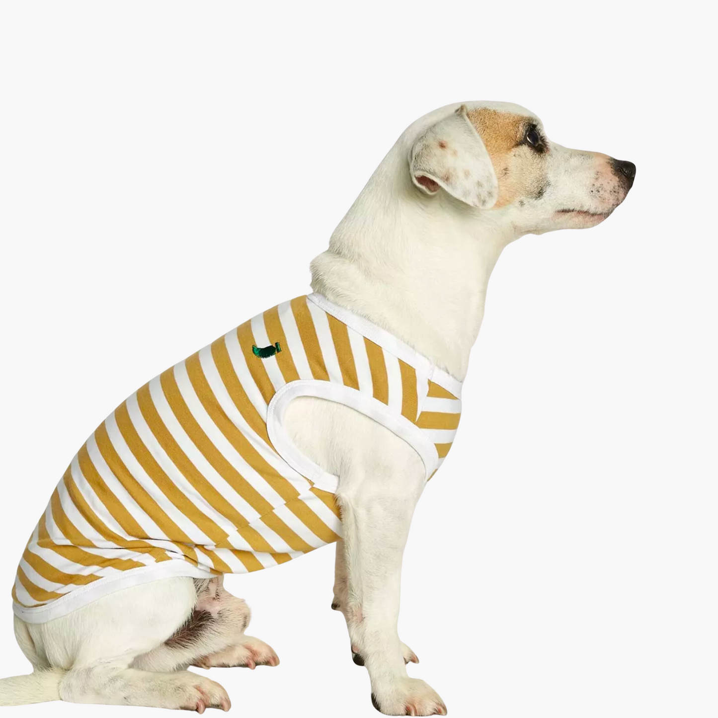 Gilet body pour chien en coton bio à rayures jaunes - Painter's wife