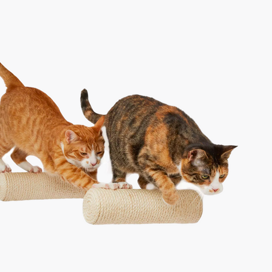 Mur d'escalade pour Chat en sisal