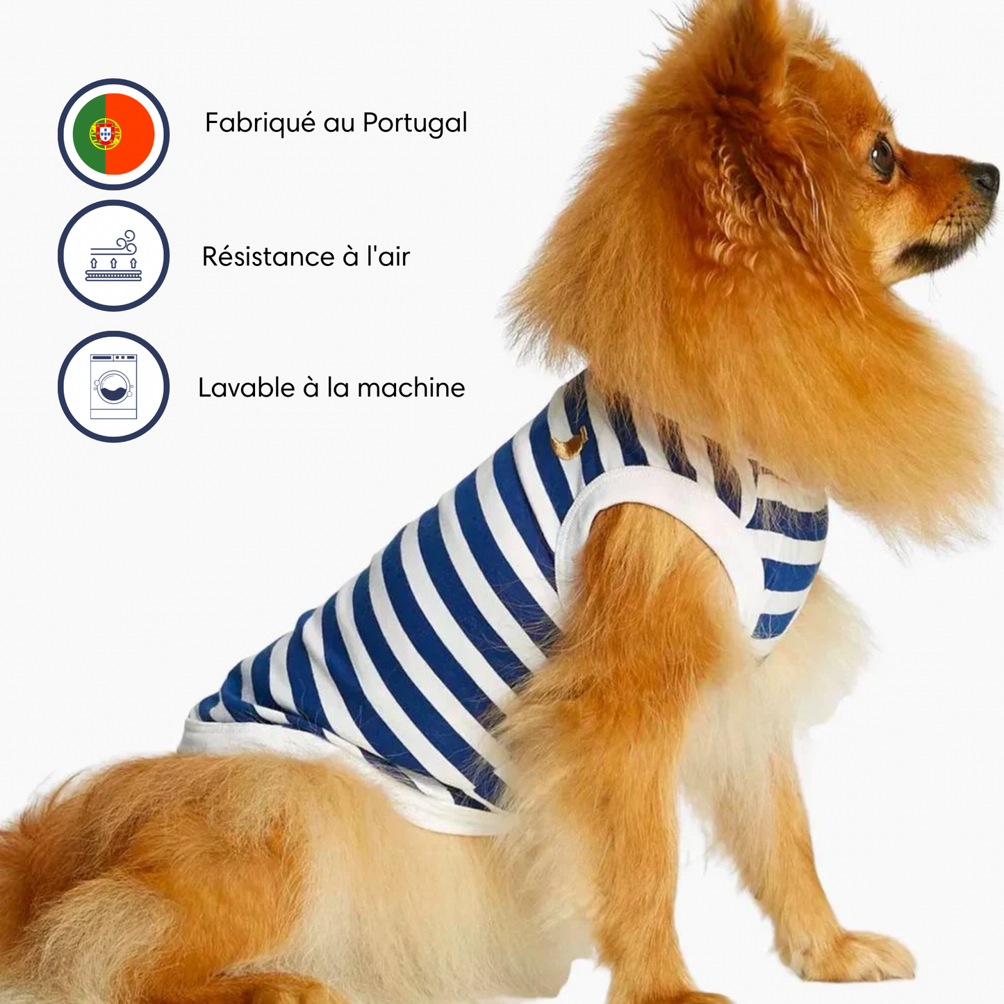 Gilet body pour chien en coton bio à rayures bleues - Painter's wife