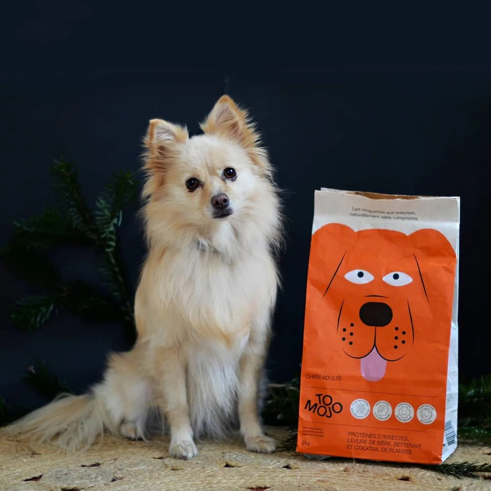 Croquettes pour Chien Adulte Sans Céréales - 1,2kg - Tomojo